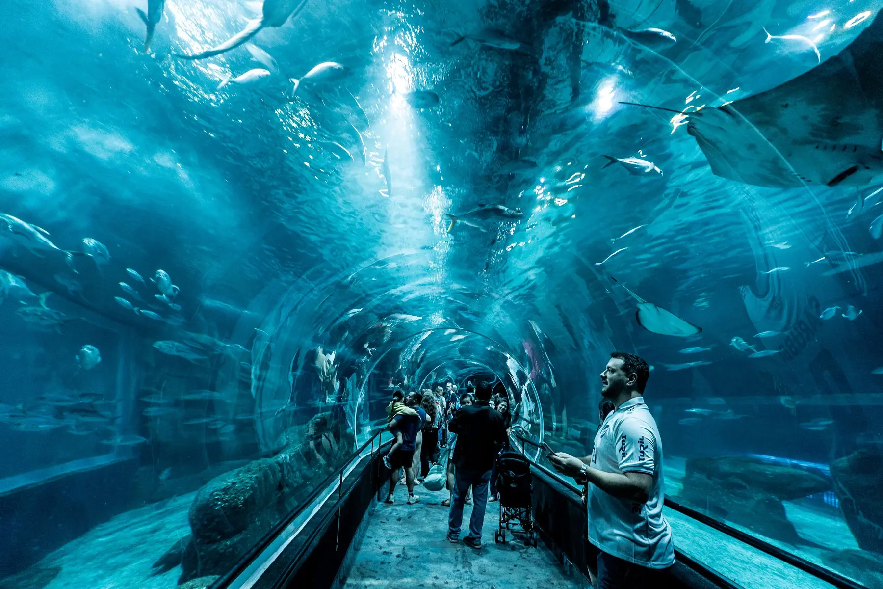 Ausflug zum Antalya Aquarium
